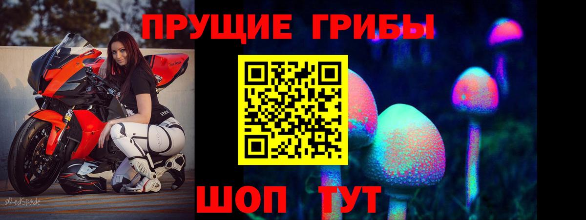 Псилоцибиновые грибы мицелий  Вход с VPN  Зима 