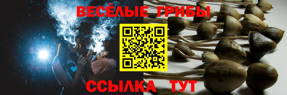 Галлюциногенные грибы MAGIC MUSHROOMS Зима